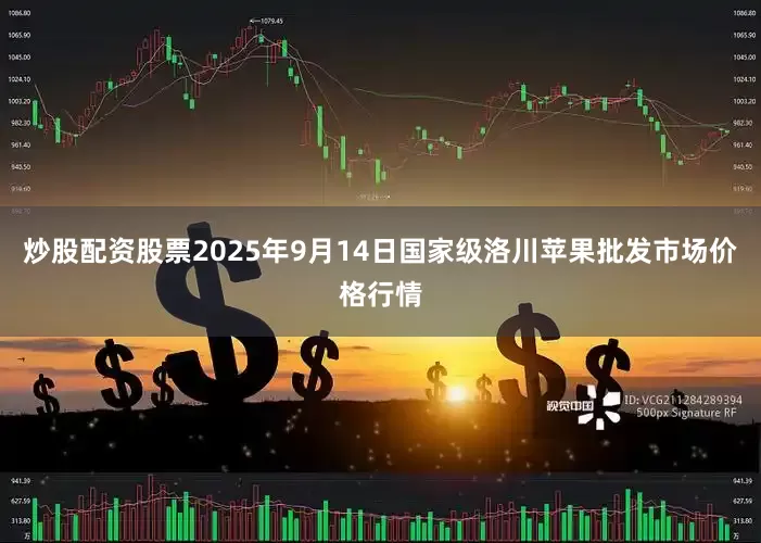炒股配资股票2025年9月14日国家级洛川苹果批发市场价格行情